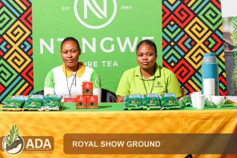 Inqwe Tea Ntingwe-Tea – Pure Tea